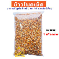 ข้าวโพดเม็ด เลี้ยงสัตว์ อาหารนก อาหารไก่ คัดเกรด A แบ่งขาย 1 กิโลกรัม และ 500 กรัม