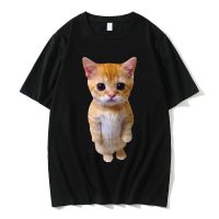 Funny El Gato Meme Sad Crying Cat Munchkin Kitty Meme Trendy Graphic T-shirt Summer Men High Quality Oversized T Shirts