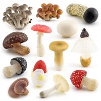 Matsutake Oyste โมเดลผักจำลองทิวทัศน์เชื้อราสำหรับเด็กอุปกรณ์ตกแต่งสวนเห็ดจำลองพืช