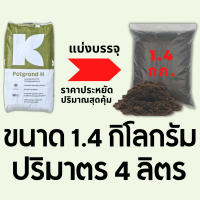 วัสดุเพาะกล้า พีทมอสสำหรับเพาะต้นกล้า Potgrond H คลาสแมน (klasmann) นำเข้าจากเยอรมัน ดินเพาะเมล็ด ดินมีเดีย มีหลายขนาดให้เลือกใช้งาน