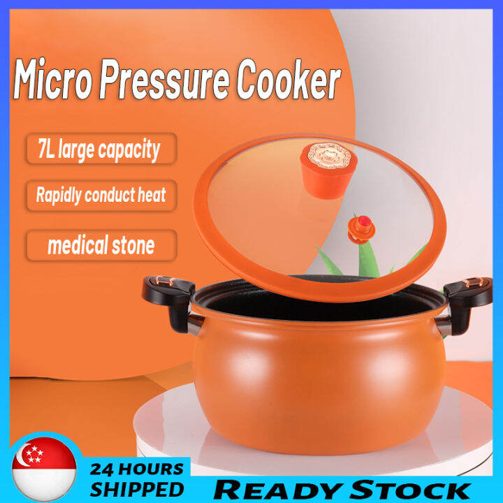 🇸🇬 [READY STOCK]Household Micro Pressure Cooker Suitable For Smoldering Pot Medical Stone