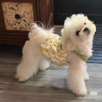 Pet Flower Pumpkin Group Dog Strap Bow Dress Summer Cute Dot Princess Dress Puppy Teddy Cat Dog Dress Small Dog Clothes Dresses