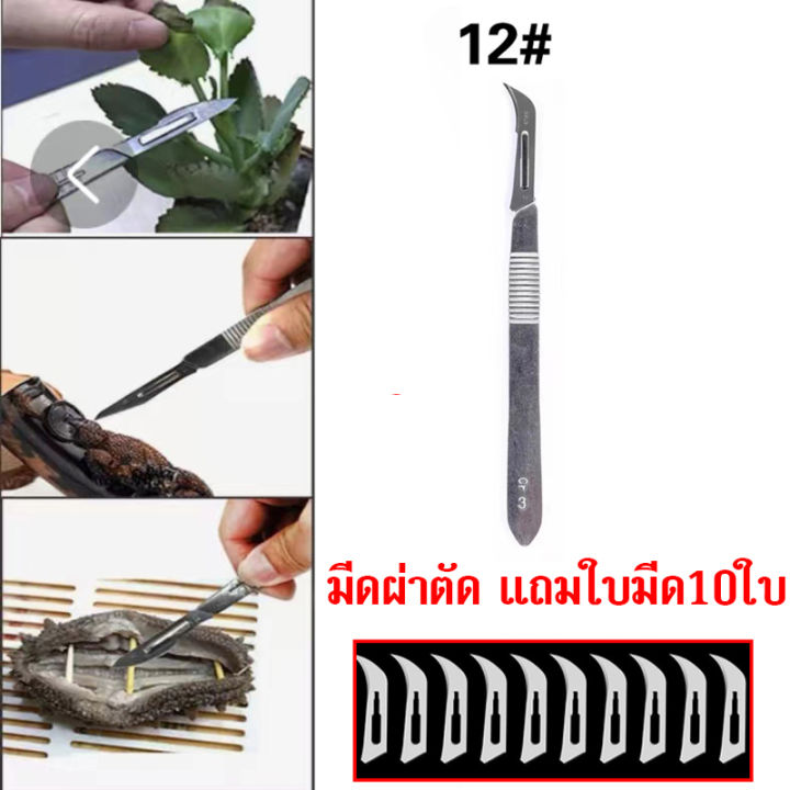 มีดผ่าตัด-เบอร์-12-มีดตอนหมู-มีดตอนไข่-สแตนเลส-มีดตัดแต่ง-มีดผ่าตัด-พร้อมใบมีด-10-ใบ