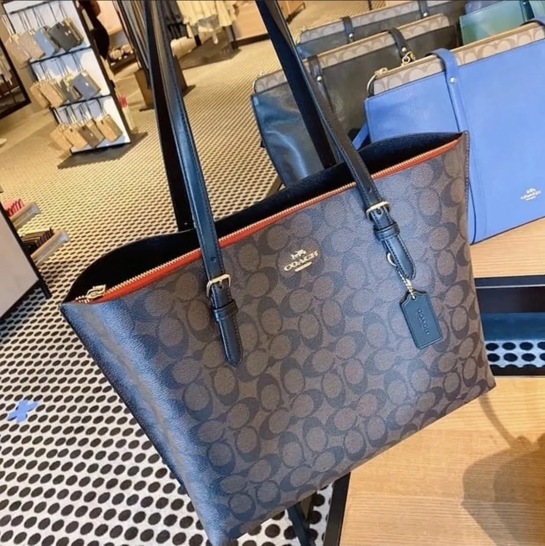 Coach Mollie Tote In Signature Canvas 1665