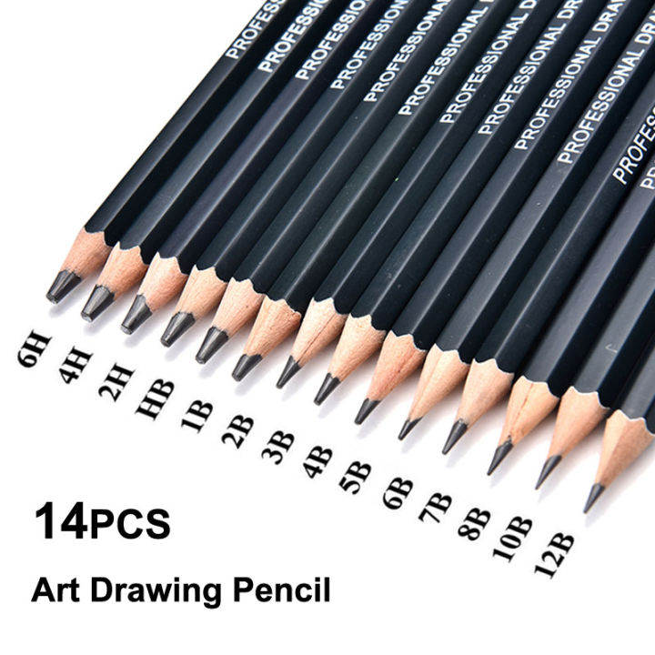 Artist Professional Drawing Pencil Graphite Sketching 12B-6H Set Of 14