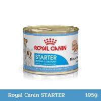 Royal Canin Starter Mousse 195g สำหรับแม่สุนัขพันธุ์เล็กช่วงตั้งท้องถึงระยะให้นมและลูกสุนัขพันธุ์เล็กหย่านม-3 เดือน ขนาด 195g x 12 กระป๋อง