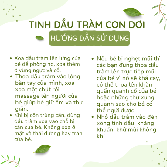 Tinh dầu tràm con dơi  nguyên chất 100% - ảnh sản phẩm 3