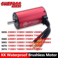 【hot】■▫ Surpass Brushless Motor 3650 3660 3665 3670 3674 Car for 1/8 1/10 Racing Off-Road