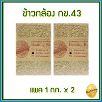 ข้าวกล้อง ข้าวกข43 ข้าวกล้องกข43 ข้าวลดน้ำตาล ควบคุมน้ำหนัก ปลอดสารเคมี ไม่มีสารกันมอด แพคสูญญากาศ ขนาด 1 กก. ขนาด 2 แพค