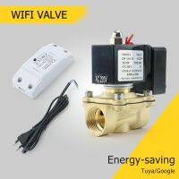 【hot】✒  Tuya Wifi Close Saving Electric Solenoid DN15 DN20 220AC With Assistant