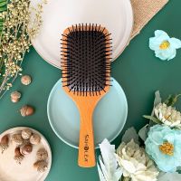 [SAHOLEA SAHOLEA] Log Air Cushion Massage Comb (CombAir CombMassage Comb)