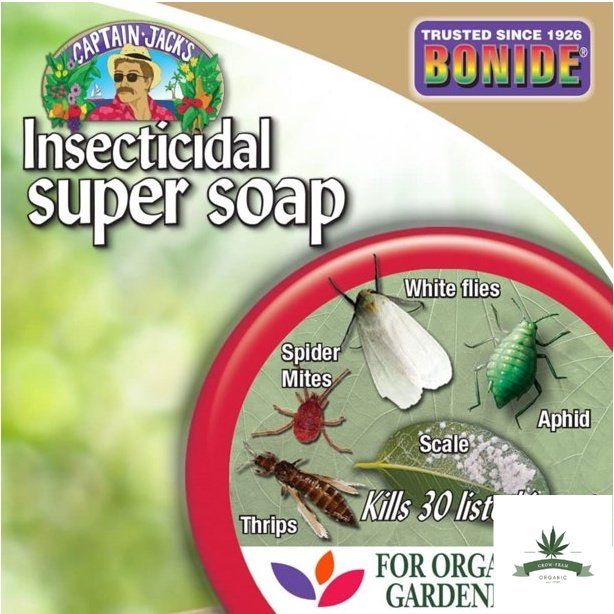 สินค้าพร้อมจัดส่ง-bonide-ยาฆ่าแมลงพืชสำหรับสวนเกษตรอินทรีย์-captain-jack-s-insecticidal-super-soap-946มล-ปลอดภัยต่อการทำสวนเกษตรอินทรีย์-สินค้าใหม่-จัดส่งฟรีมีบริการเก็บเงินปลายทาง