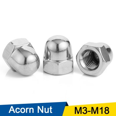 SENYU 5/50pcs Acorn Cap Nut M3 M4 M5 M6 M8 M10 M12 M14 M16 M18 Stainless Steel Decorative Cap Nuts Caps Covers