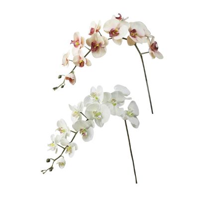【YF】┋  Heads Silk Orchid Phalaenopsis Flowers Wedding Floral Bouquet Artificial Fake 110CMTH