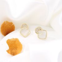 [COD] Hot Selling Womens Jewelry Earrings Net Temperament Trend