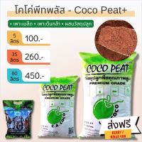 ?ส่งฟรี?COCO PEAT plus+ โคโค่พีท พลัส วัสดุเพาะกล้าคุณภาพสูงพร้อมใช้ ล้างสารเทนนินเรียบร้อยแล้ว