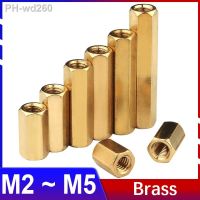 M2 M2.5 M3 M4 M5 Brass Hexagonal Hollow Pillar Double-pass Hex Female Thread Bracket Column Female PCB Motherboard Gasket Nut