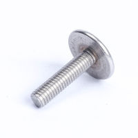 GB947 Stainless steel 304 material extra large flat head slotted screw M3 M6*8/10/12/16/20/25 Nails Screws Fasteners