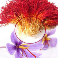 5g (กรัม) White Saffron Tea พรีเมี่ยม ชาหญ้าฝรั่นขาวจากอิหร่าน นำเข้าจากอิหร่าน เครื่องดื่มสมุนไพร สุขภาพดี บริสุทธิ์ 100 %