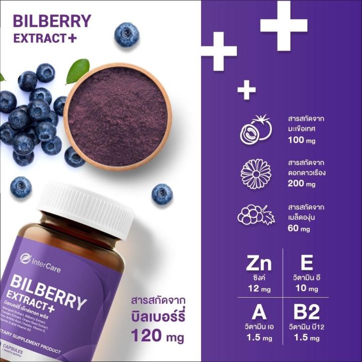 intercare-bilberry-extract-plus-new-2-กระปุก-60-แคปซูล-อินเตอร์แคร์-บิลเบอร์รี่-เอ็กซ์แทรคพลัส-สกัดจาก-บิลเบอร์รี่และลูทีน-บำรุงสายตา