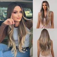 Brown Blonde Ombre Wigs for Women Long Wavy Middle Part Natural Hairline Synthetic Lace Wigs Heat Resistant [ Hot sell ] Gktinoo Fashion