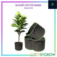 กระถางผ้าปลูกต้นไม้ Smart pot ขนาด 3/5/7/10 แกลลอน เนื้อผ้าหนา ทนทาน