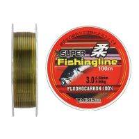 200M Nylon Fishing Lines Super Strong Fluorocarbon Coated Monofilament Fishingline Leader Carp Fishing Wire