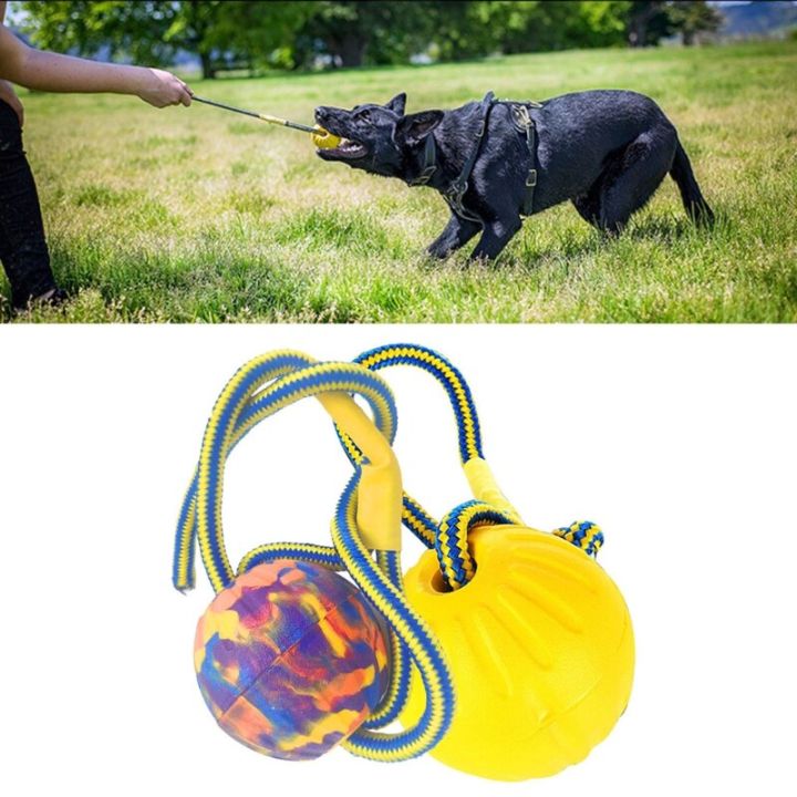 4ชิ้นลูกยาง-eva-เชือกสุนัขบอลสัตว์เลี้ยงแบบโต้ตอบการฝึกสุนัขของเล่นสำหรับกัด-yy-ร้านค้า