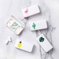 【CW】 3 Grids Medicine Cactus Pattern Pill Plastic Storage