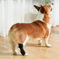 ที่พยุงขาหลังของสุนัขป้องกันการเลียสายรัดสปริงรองรับ Canine Rear Hock Support สำหรับอาการบาดเจ็บที่ขา