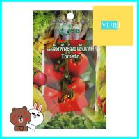 เมล็ดพันธุ์มะเขือเทศ กรีน การ์เด้นTOMATO SEED GREEN GARDEN **สินค้าแนะนำ**