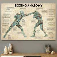 ㍿ Vintage Boxing Body Anatomy โปสเตอร์และภาพพิมพ์ผนังศิลปะภาพวาดผ้าใบ Boxing Lover ของขวัญสำหรับห้องยิม Cuadros ตกแต่งบ้าน