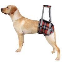 Dog Harness Support Brace for Leg Injury Protector Outdoor Walking Lead Leash for Dog Disability Pet Collar Handheld Padded Collars