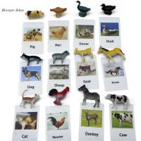 มาร์เก24ชิ้นของเล่นเพื่อการเรียนรู้ภาษาของเด็กวัยหัดเดิน Permainan Teka-Teki ของเล่นรูปสัตว์ในการแข่งขันบัตรของเล่นเสริมพัฒนาการสัตว์ปีกรุ่นรูปสัตว์