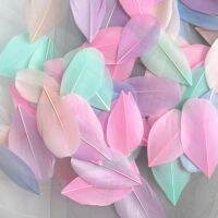 100pcs Feathers Plumes Colourful Feather Oval for Decoration Wedding Jewelry