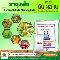 ผงจุลธาตุเหล็ก Ferous Sulfate Monohydrate FeSO4.H2O (30%Fe) บรรจุ 1 กิโลกรัม