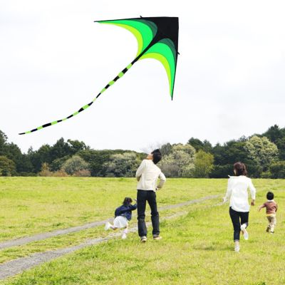 ว่าวเดลต้าสีเขียวของเล่นว่าวบิน1.6ม.,ว่าวแนวแกนหลักพร้อมสายล้อสำหรับเด็กและกลางแจ้งความสูง10เมตร