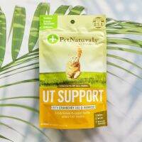 อาหารเสริมสำหรับแมว แบบเคี้ยว UT Support with Cranberry and D-Mannose For Cats 60 Chews (Pet Naturals®)