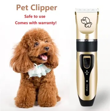 Best electric shaver outlet for dogs