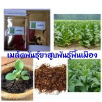 เมล็ดพันธุ์ยาสูบพันธุ์พื้นเมืองปลูกติดสวนไว้ไล่แมลงซองประมาณ3000เมล็ด