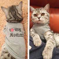 Mode Shop Cute Pet Clothes Spring Summer Clothes for Cat Fashion Pet Jacket Printed Vest Funny Suit