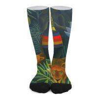 【jw】❄□  Henri - Rousseau art the dream Socks Compression stockings Men′s sock