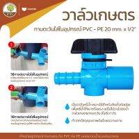 วาล์วเกษตรทานตะวันสวมอุปกรณ์ PVC-PE 1/2"x20mm. เริ่มต้น 12 บ. ถูกที่สุด - โตไว