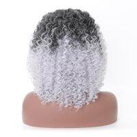 Synthetic Wigs for Women Kinky Curly Wigs 9 Colors Available PerisModa Natural Density Heat Resistant Cheap Synthetic Curly Wigs Gift ของขวัญ