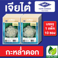 ผักซอง เจียไต๋ CT15 เมล็ดพันธุ์ พันธุ์ผัก กะหล่ำดอก บรรจุแพ็คล่ะ 10 ซอง ราคา 70 บาท