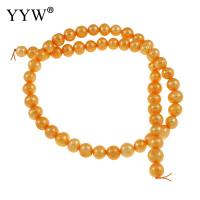 Orange 7-8mm Cultured Potato Freshwater Pearl Beads 0.8mm Hole 14.7InchStrand for DIY Bracelet Necklace Jewelry Making