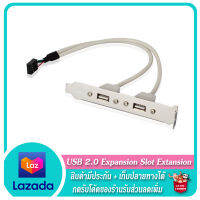 ? USB 2.0 Expansion Slot Extention ?