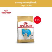 Royal Canin Golden Retriever Puppy 3kg อาหารเม็ดลูกสุนัข พันธุ์โกลเด้น รีทรีฟเวอร์ อายุต่ำกว่า 15 เดือน (Dry Dog Food, โรยัล คานิน)