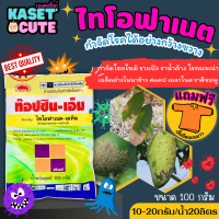 ? แถมฟรีเสื้อ 1 ตัว ท็อปซิน-เอ็ม (ไทโอฟาเนต-เมทิล) ป้องกันโรคพืชได้หลากหลาย (100กรัม)