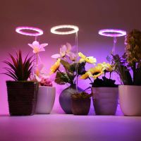 LED Lights Ring Grow Light DC5V USB Full Spectrum Phytolamp Growing Lamps Lighting Home Plants Seedlings Growth Flower Indoor Ceiling Lights